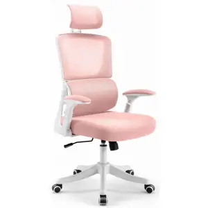 Produkt Herní židle HC- 1011 PINK MESH